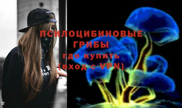метадон Касимов