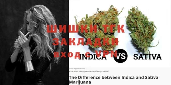 PSILOCYBIN Лабытнанги