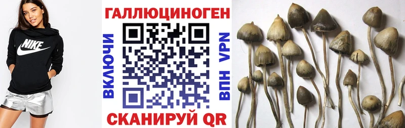 Галлюциногенные грибы Cubensis  Абаза 