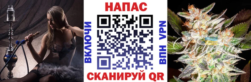 Бошки Шишки планчик  продажа наркотиков  OMG маркетплейс  Абаза 